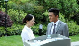 情定大饭店 电视剧,爱在奢华背后的温馨传奇