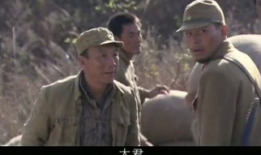 独狼电视剧全集优酷,揭秘特工生涯的惊险与抉择